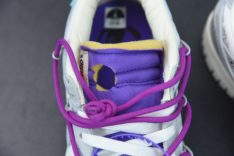 of x dunk low 